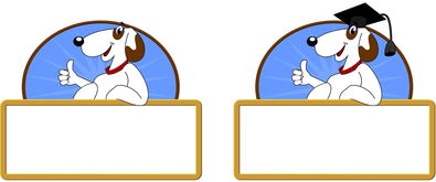 kaiyun体育app-校园体育节活动对学生参与度的促进作用，学校体育节活动描述