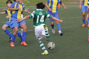 开云体育中国官网-一场比赛：从比分落后到逆转的奇迹！，大比分落后